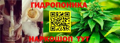 2c-b Шебекино