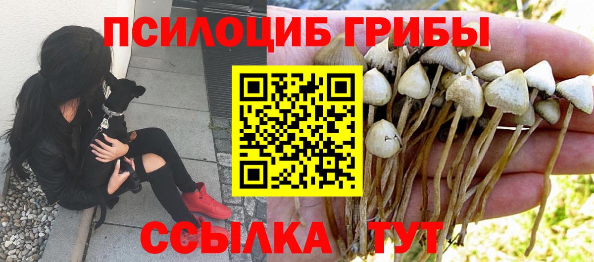 Галлюциногенные грибы прущие грибы  Псилоцибиновые грибы Cubensis  Асбест  Вход с VPN 